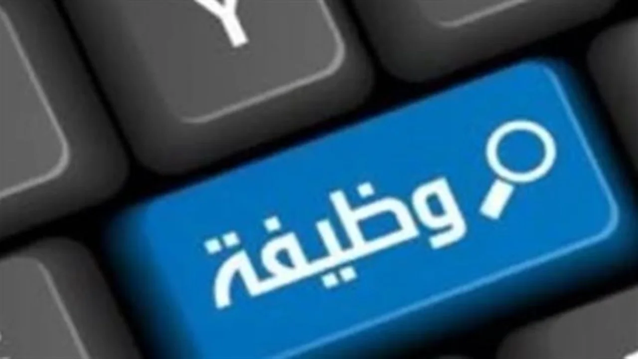 فرصة عمل جديدة.. مطلوب مهندسون وفنيون في 6 أكتوبر